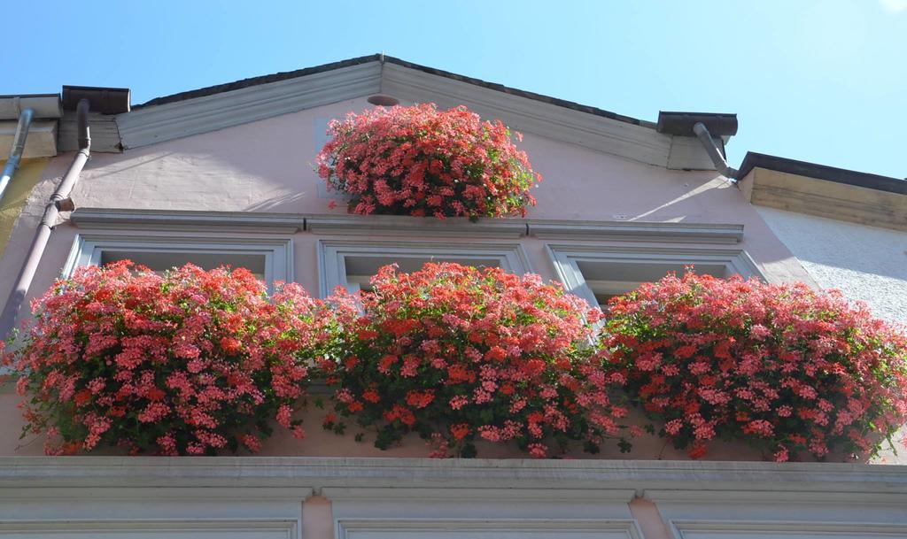 Mosel Roeschen Villa Bernkastel-Kues Dış mekan fotoğraf